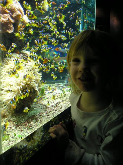 Annie Beside the Aquarium Reserved for the Youngest Fishes