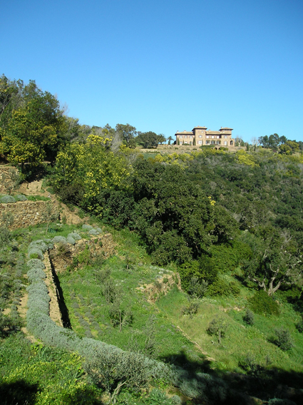 The Chateau as Seen from the Terraced Garden