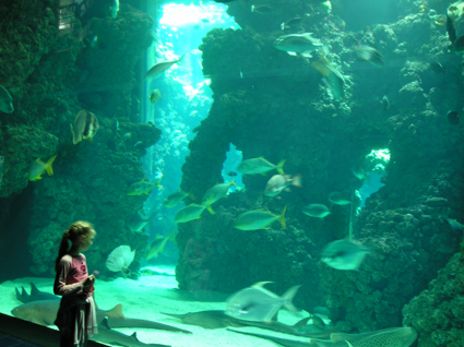 Vanessa at the Bottom of the Coral Reef Display at the Monaco Aquarium