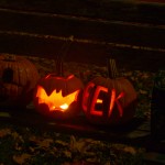 Sorauren Park Pumpkin Parade 4