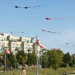 Windfest Toronto 2011 #2