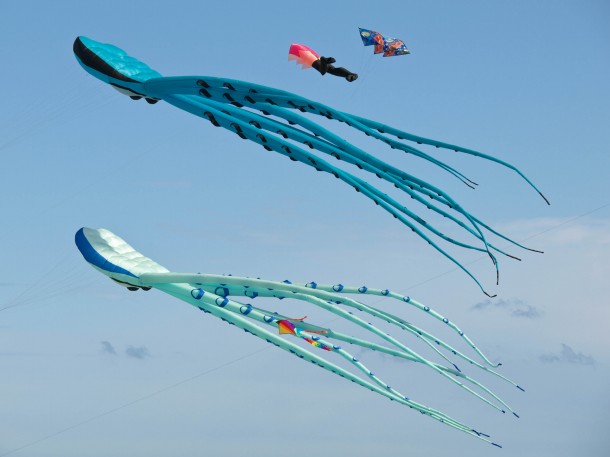 Windfest Toronto 2011 #3