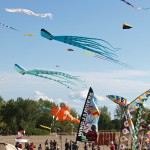 Windfest Toronto 2011 #8