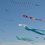 Windfest Toronto 2011 #9