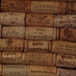 Corkboard #2