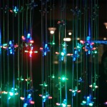 Nuit Blanche: Shannon's Fireflies 2