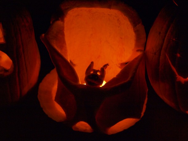 East Lynn Park Pumpkin Parade: Carved Bat