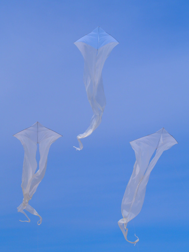 Three White Kites