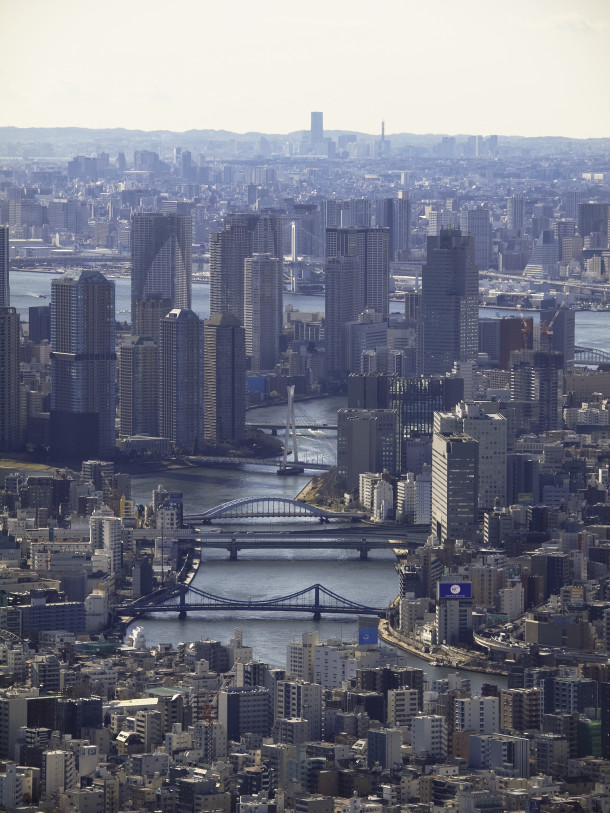 Bridges of Tokyo Seen from the Skytree