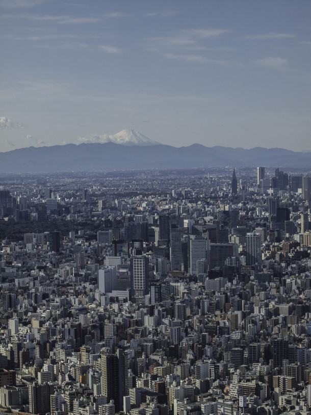 Tokyo Cityscape with Mt Fuji in the Distance