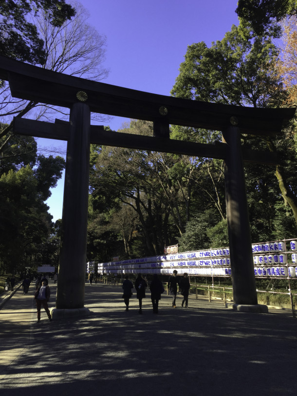 Torii Gate within the Meiji Shrine Grounds